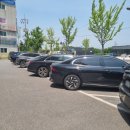 라이크테테 | 수원 오목천 카페 할리스에서 콤부차 마셨어요