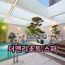 원시한증막 | 강원도 온천여행 천연온천수 더앤온천 추천 '더앤리조트 스파'
