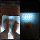오혜숙생활단식밀양이행지사 | 단식후기:내 몸에 밍크코트 한벌을 투자했다. 그랬더니?!!