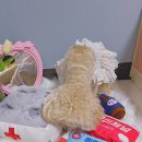 로빈약국 이미지