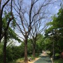 선도3경로당 이미지