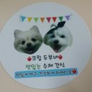 크림이네 수제간식 이미지