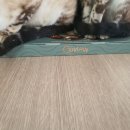 MJ캐터리 이미지