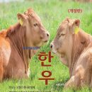 대산읍 구진로 이미지