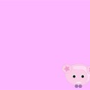 분홍강아지 이미지