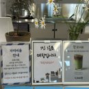 명품고양이카페 | 춘천 신상카페 장학리 카페 공상(feat. 귀여운 고양이)