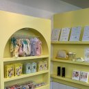 애견카페 애견유치원 펫레터 이미지