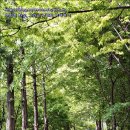 성호공원(3구역) 안산1대학 방향 화장실 | 안산식물원에서 성호기념관, 그리고 단원조각공원으로 이어지는 성호공원 코스 돌아보기, 안산 여행