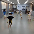 힘튼태권도 이미지