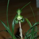 자산동244 이미지