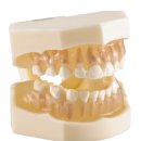 한일 soft 이미지