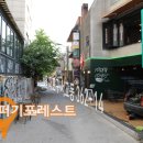 퍼기포레스트 티스토리