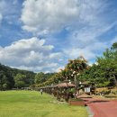 한내근린공원 앞 버스정류장 | [대전 동구] 식장산 문화공원(해돋이전망대) - 전 견종 가능 · 맹견 입마개 · 목줄 착용 · 배변봉투...