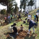 세종전의묘목협동조합 이미지