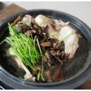 별빛 산골 능이버섯 이미지