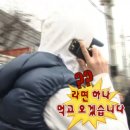가평 빠지 바이킹 수상레저