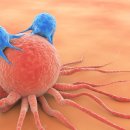 셀메드 오늘약국 이미지