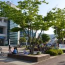 거창읍-17 이미지