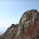 (주)무학항공여행사