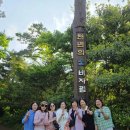 주식회사 제주마음렌트카 | 제주도 스타리아 렌트 9인승 제주 렌트카 기사포함 여행 후기