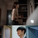 봄밤 이미지