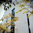 부산건축사사무소 이미지