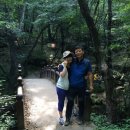 식장산포도농원