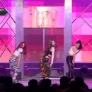 춤추는머리카락 이미지