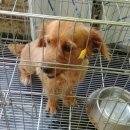 양평자동차공업사 이미지