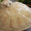 썰어활어회구이 이미지