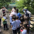 중곡샛별어린이집 이미지