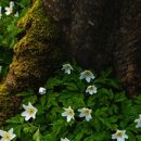 성창기업(주) 이미지