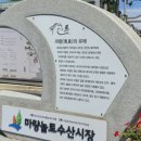강진여행 필수 코스 강진마량놀토수산시장 | 강진수협위판장 자연산회포장 솔직후기