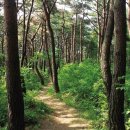 백제가요정읍사오솔길(1코스 산행구간) 이미지