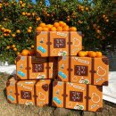 (주)잇더컴퍼니 이미지