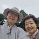 카페봉 Daum카페