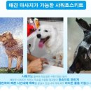 씻겨줄개 네이버블로그