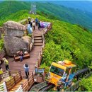 1228 | "스위스 안 부럽네" 1,228m 함양 모노레일 현실