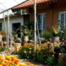 안선생민박 이미지