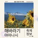 하이디상점 | 도쿄 에서 2시간 아케노 해바라기 축제 일정 방문 후기 가는법