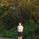 스타킹 | 힐리시(Heallish) 의료용 압박스타킹 제품 사용 후기/데일리룩 코디