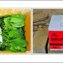 고려포토 이미지