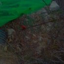 백우농장 이미지