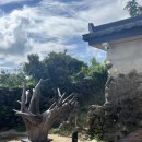 어쩌다가 | 제주도숙소추천 : 제주도 특별한 조식이 있는 “어쩌다가” 내돈내산 후기