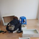 참조은크린 이미지