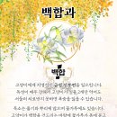 아리스타동물의료센터 이미지