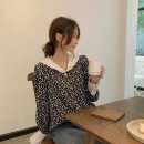 벌룬플라워 이미지