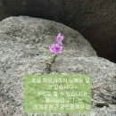 청구개발공인중개사사무소 이미지
