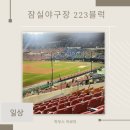 고골길 83번길 1 | 잠실야구장 원정 3루내야 레드석 223블럭 8열 83번 84자리 시야