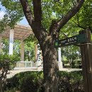 서울의 역사 탐방⑭-삼전도의 굴욕 이미지